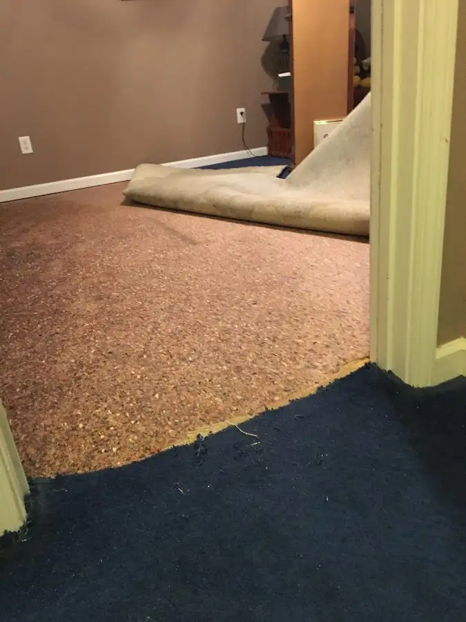 Carpet pad removal revealing water damage during Drying & Dehumidification in Shaker Heights